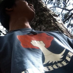 Profile picture for Darwin Go