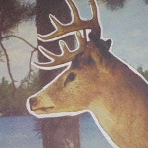 Profile picture for Fosforo2