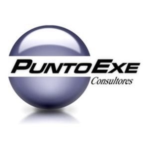 Profile picture for PuntoExe Consultores