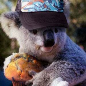 Profile picture for Ian Collins