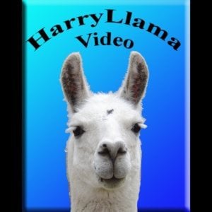 Profile picture for Harry Llama