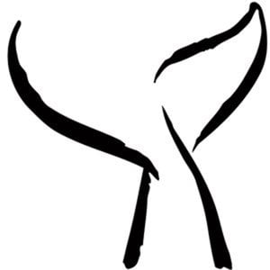 Profile picture for The Wyland Foundation