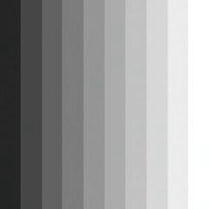Profile picture for Andrew Chee