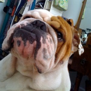 Profile picture for Randy Makiej