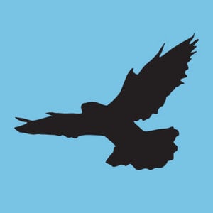 Profile picture for Diana Lange