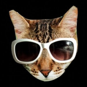 Profile picture for Karen