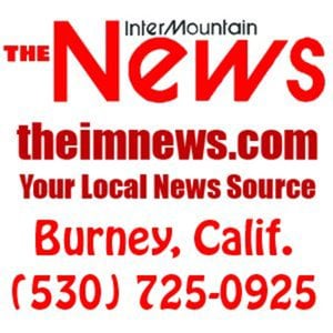 Profile picture for The Intermountain News