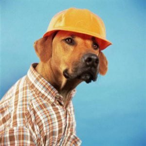 Profile picture for S W N J