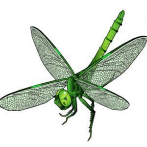 Profile picture for FlightsOfIdeas