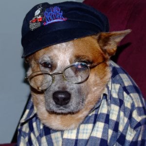 Profile picture for Annie