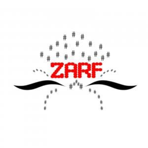 Profile picture for Zarf