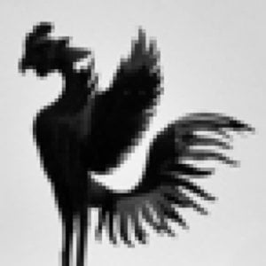 Profile picture for sasurau