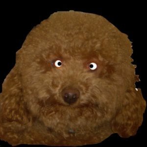 Profile picture for K3NJ1