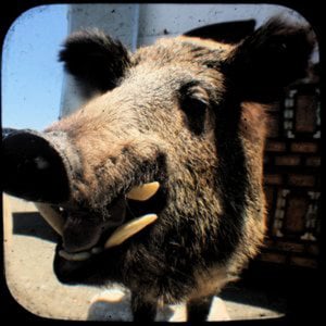 Profile picture for jen fogg