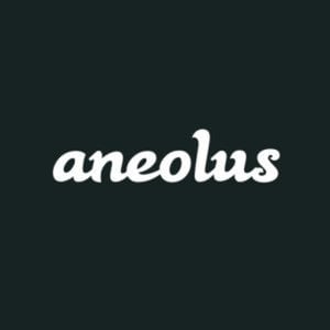 Profile picture for Aniol