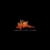 Brush Fire Films