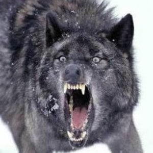 Profile picture for riley erickson
