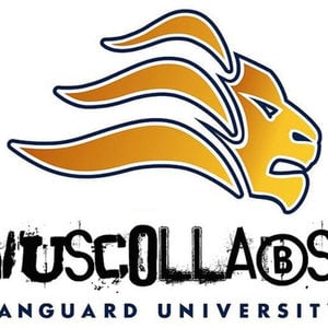 Profile picture for VUSCollabs