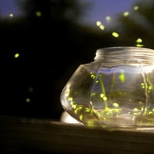 Profile picture for Firefly Imageworks