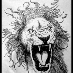 Profile picture for Louis van Vuuren