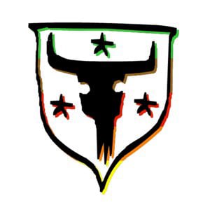 Profile picture for Rafa Toro