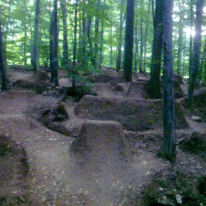 Profile picture for dirtjumper202
