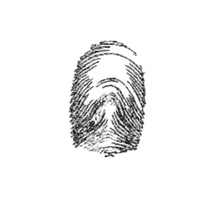 Profile picture for Calvacreation