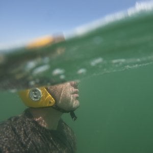 Profile picture for Robert Snow