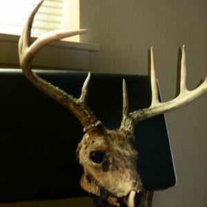 Profile picture for chris clappe