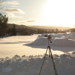 Profile picture for Simon Sjöhed