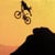 NWD films