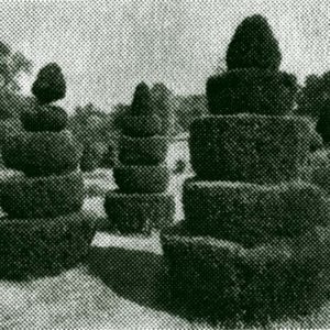 Profile picture for Samuael Topiary