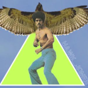 Profile picture for Hawk Jones