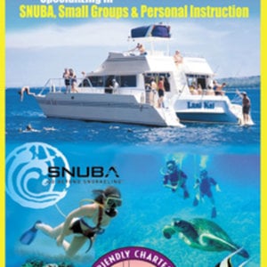 Profile picture for Maui Snorkeling