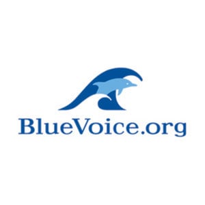 Profile picture for BlueVoice.org