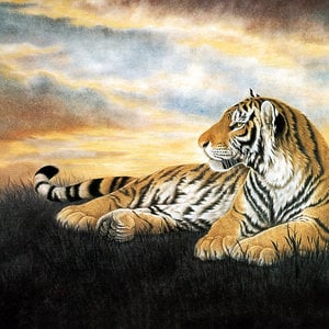 Profile picture for elizabeth collins