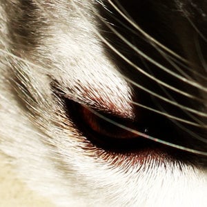 Profile picture for leonjf
