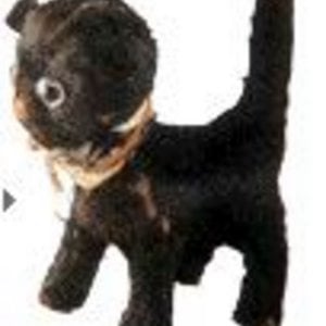 Profile picture for Reinhart-Rzimsky