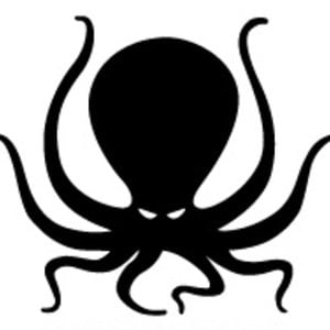 Profile picture for octopusvision