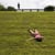 Melissa Grance