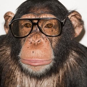 Profile picture for Terry Richardson