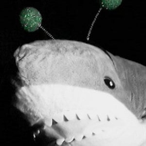 Profile picture for Alien Shark Productions