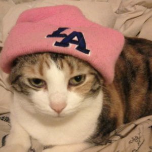 Profile picture for Lindsay Lawson