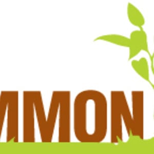 Profile picture for Common Ground Project