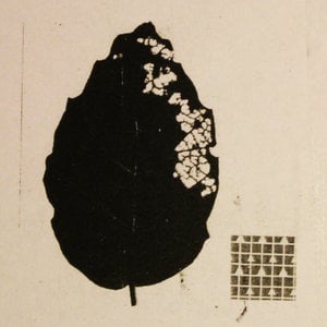 Profile picture for johan rijpma
