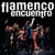 flamenco encuentro