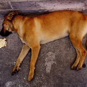 Profile picture for José Pablo Escamilla