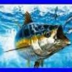 Profile picture for TnA