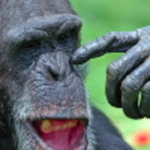 Profile picture for John Chawner