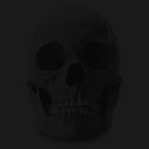 Profile picture for Callum Preston